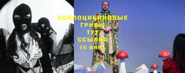метамфетамин Козловка