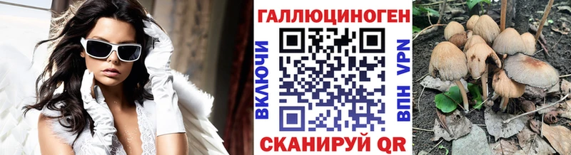 Псилоцибиновые грибы мухоморы  где купить наркоту  Фокино 