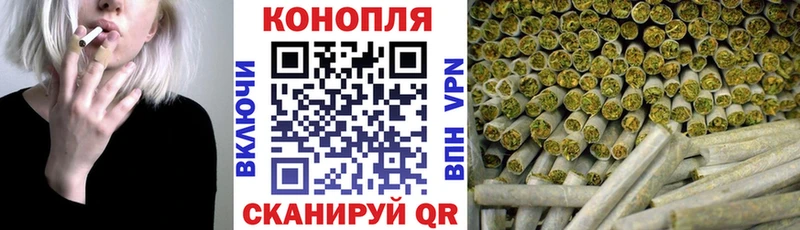 Конопля сатива  Фокино 